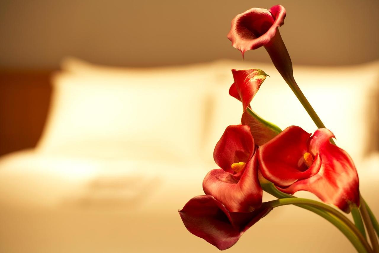 The B Hachioji Hotel Стая снимка